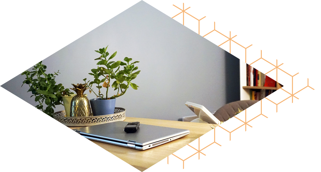 Ordinateur, dictaphone et sténotype